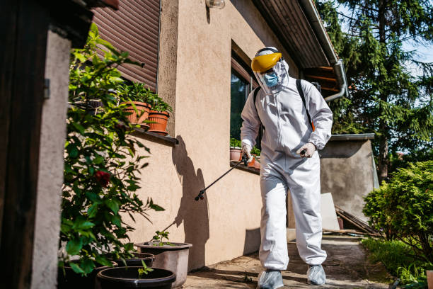 Best Pest Prevention Services  in Boulevard Gardens, FL