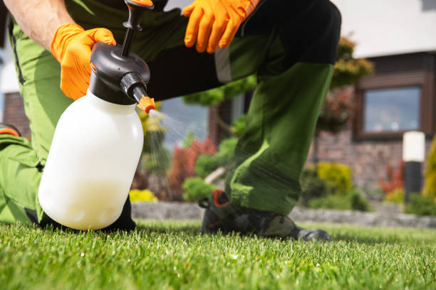 Trusted Boulevard Gardens, FL Pest Control Experts