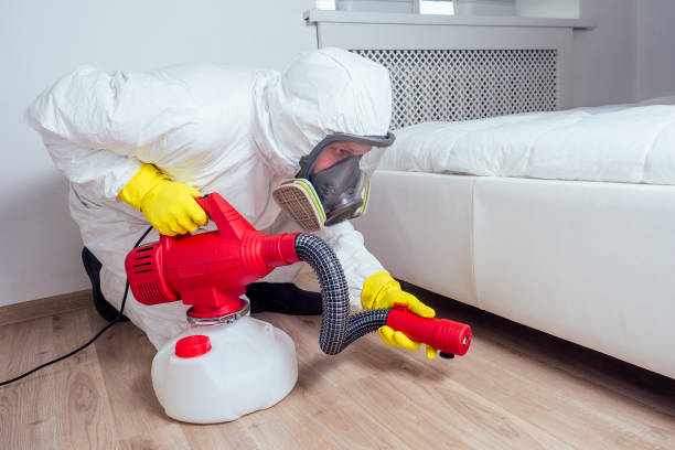Best Pest Control Treatment  in Boulevard Gardens, FL