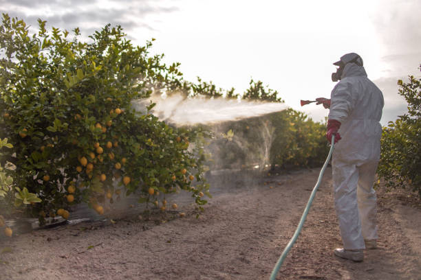 Best Emergency Pest Control  in Boulevard Gardens, FL