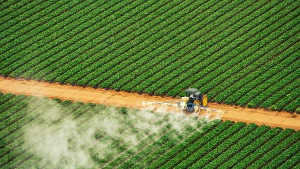 Best Commercial Pest Control Services  in Boulevard Gardens, FL