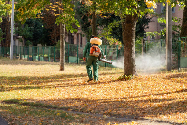 Best Affordable Pest Control Services  in Boulevard Gardens, FL