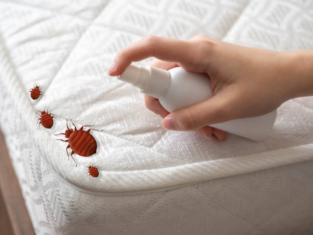 Best Mosquito Control Services  in Boulevard Gardens, FL